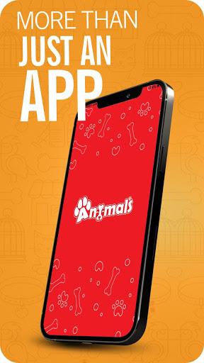 Android application Animals Egypt screenshort