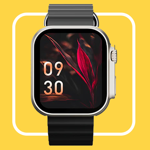 Fire-Boltt Smart watch guide