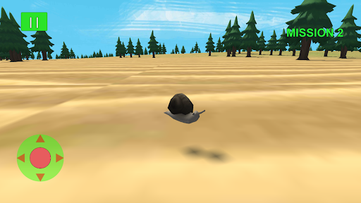 Snail Insect Jungle Life Game