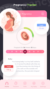 Pregnancy & Baby Tracker
