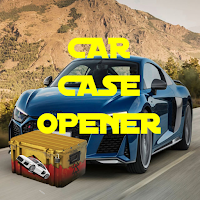 CAR CASES - GET YOUR CAR