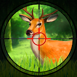 Animal Hunting : Games 2022 Apk