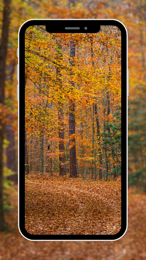 Landscape Wallpaper Screen 2