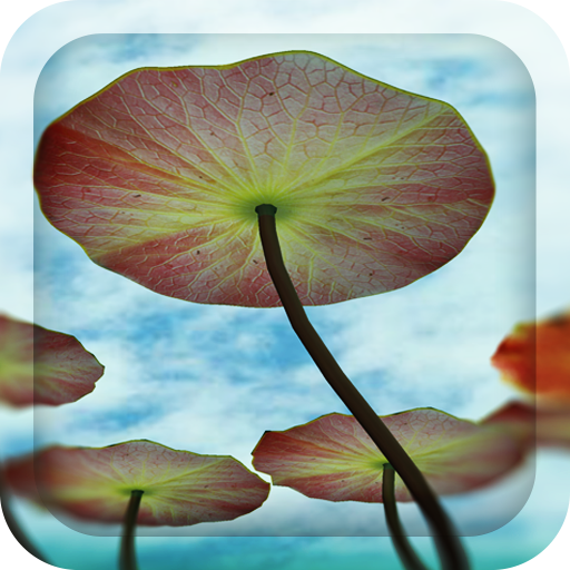 3D Water Lilies Live Wallpaper Auf Windows herunterladen