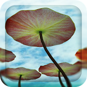 Top 47 Personalization Apps Like 3D Water Lilies Live Wallpaper - Best Alternatives