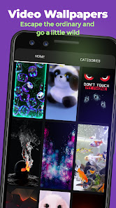 ZEDGE 7.46.3 (Subscription Activated) Gallery 5