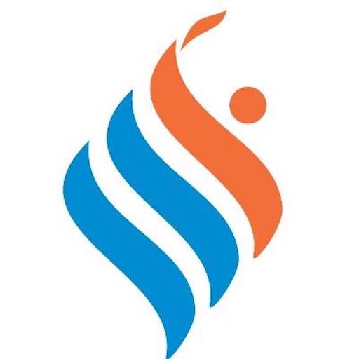 SSF Global logo