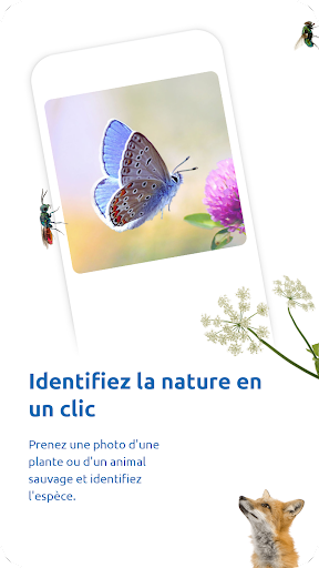 Aperçu de l'application