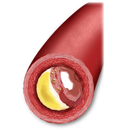 Icon image Cholesterol Guide