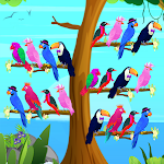 Cover Image of Download Bird Sort Color Bird Games  APK