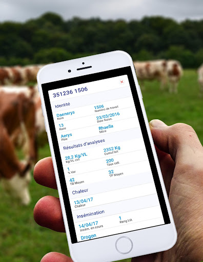 Breeder Screen 3