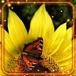 Cover Image of Unduh Sunflower Sun Day  APK