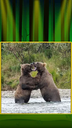 Animal Jigsaw Puzzle Game - Screenshot 4