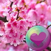 Top 38 Lifestyle Apps Like Sakura Cherry Blossoms HD Wall - Best Alternatives