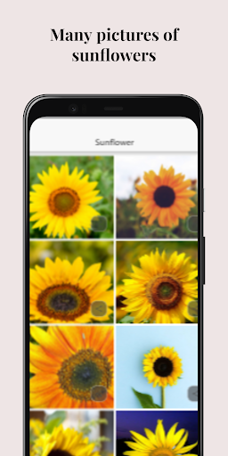 Mothers Day Amazing Flowers Screen 2