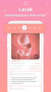 Kehamilan app