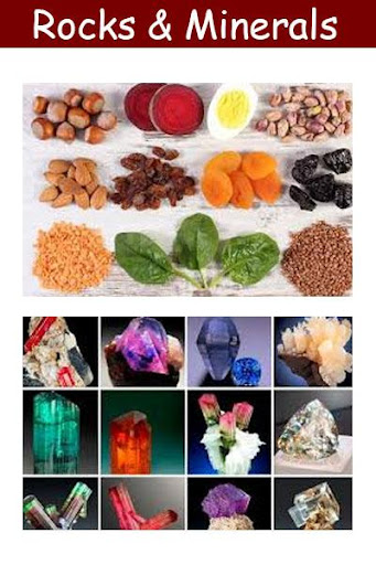 Rocks & Minerals Book Screen 2