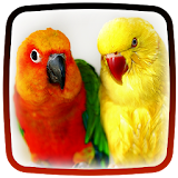 Parrot Live Wallpaper ? Beautiful Birds HD icon