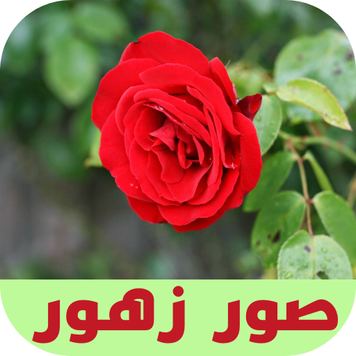 صور زهور logo
