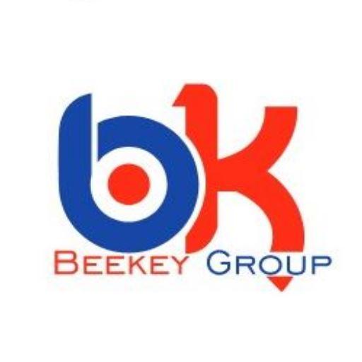 BitLink B.K Agencies WALKAROO logo