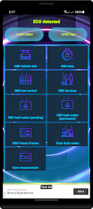 Neon OBD 2 ECU scanner