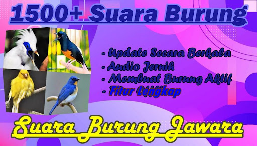 Android application 1001 Suara Kicau Burung MP3 screenshort