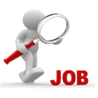 Easy Job Finder - Find your Dream Job Now