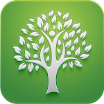Cover Image of 下载 Tree: Christian Social Network & Engage Community 6.2.0 APK