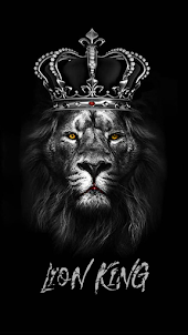 Lion Hd wallpapers
