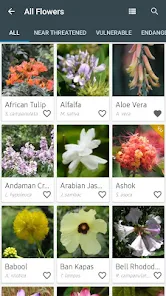 Indian Flowers Apps On Google Play