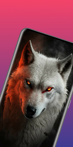 Android application wallpaper wolf 4k screenshort