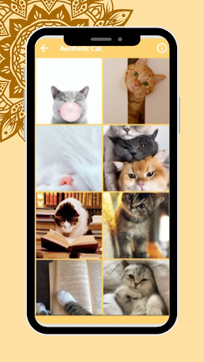Cute Cat Wallpaper HD Kittens Screen 3