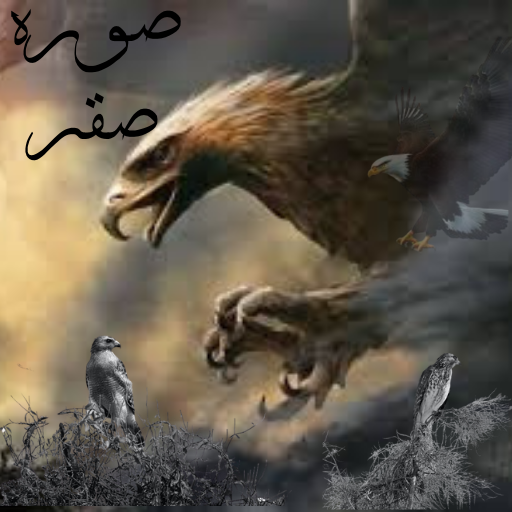صوره صقر : بدون نت logo