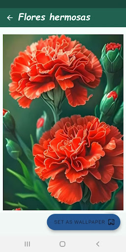 Imágenes de flores hermosas Screen 2