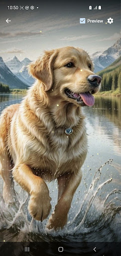 Golden Retriever Wallpaper Screen 2