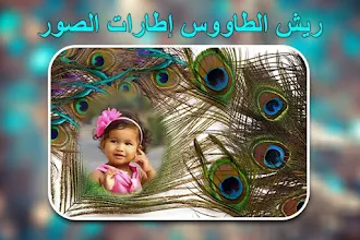 إطارات صور ريش الطاووس التطبيقات على Google Play