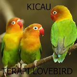 Kicau Terapi Burung Lovebird Paud icon