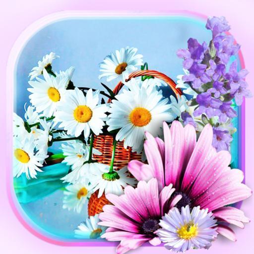 Summer Flowers Live Wallpaper