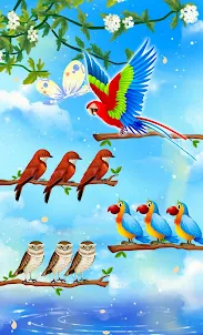 Bird Sort - Sort Color Puzzle