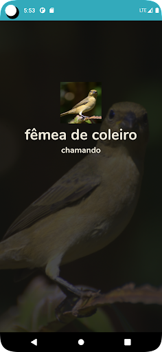 Android application fêmea de coleiro chamando screenshort