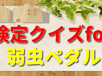 [新しいコレクション] 弱虫 ペダル 検定 843209-弱虫ペダル 検定