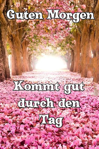 Guten Morgen,Abend Gute Nacht Screen 3