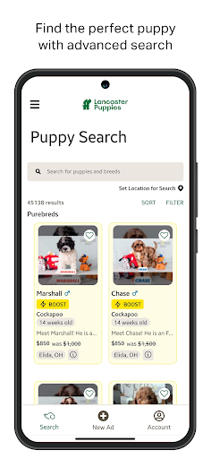 Lancaster Puppies Screenshot 1 - AppWisp.com