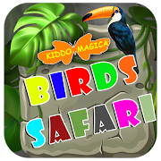Birds Safari
