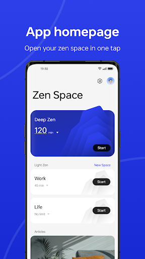 Screenshot of Zen Space