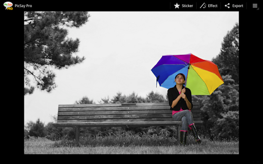 PicSay Pro MOD APK Versi Terbaru: 1.8.0.5 Full, Paid Version Gratis Gallery 7