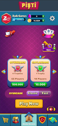 Pisti Card Game 1