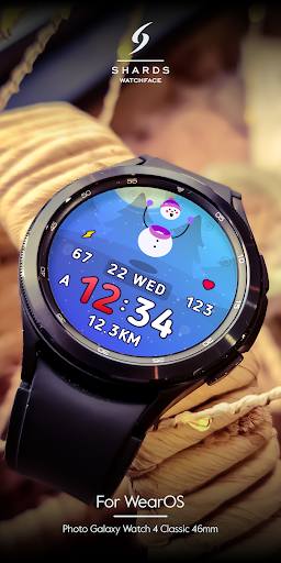 SH008 Watch Face, WearOS watch Screen 3
