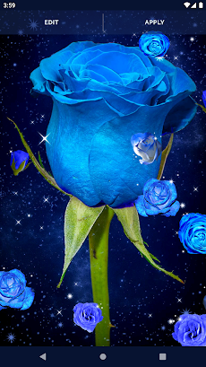 Blue Rose Live Wallpaper 3Dのおすすめ画像4