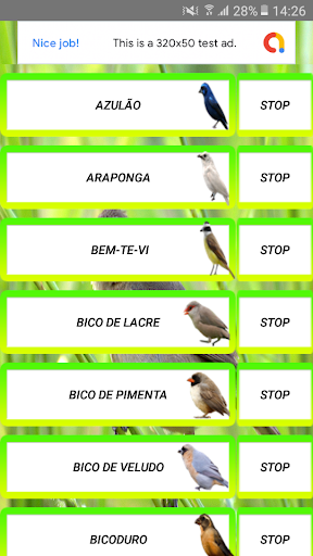 Call Birds Screen 2